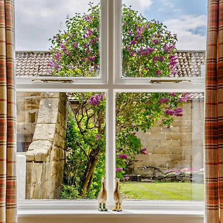 Сasa de vacaciones 3 Bed In Oc-83328 *